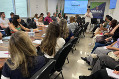 Sesa reforça estratégias para prevenção da mortalidade materna, infantil e fetal no Paraná