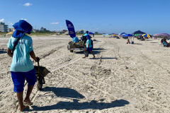 Limpeza diurna: aumento de 31,76% na coleta de lixo diurna em relação ao mesmo feriado prolongado de 2024 (Sanepar)