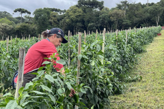   Sanepar participa de Jornada Empreendedora que incentiva a agricultura sustentável no Miringuava