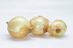 BOLETIM AGRO - CEBOLA