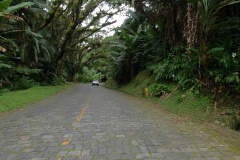 ESTRADA