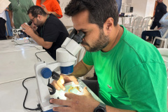 SESA CAPACITAÇÃO ACIDENTES ANIMAIS PEÇONHENTOS 