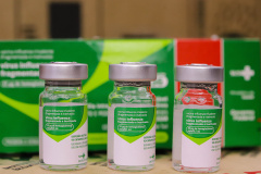 Dados da Covid-19 passam a integrar informe mensal de vírus respiratórios