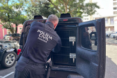 PCPR prende segundo suspeito de cárcere privado e resgata mais 10 mulheres em Antonina
