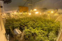 PMPR MACONHA
