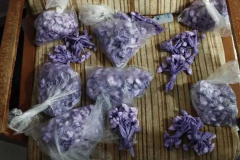 PCPR, PMPR e GCM apreendem mais de mil porções de cocaína em ação contra o delivery de drogas no Norte
