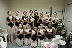Muito além da sapatilha: o processo de iniciação às pontas na Escola de Dança Teatro Guaíra