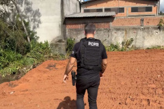 PCPR prende homem por desmatar área de proteção ambiental em Curitiba