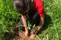 IAT SEMANA DO MEIO AMBIENTE