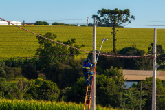 Copel cria nova estrutura de operações de campo para o Sudoeste do Paraná