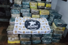 PCPR e PMMS apreendem 2,2 toneladas de maconha e prendem homem em flagrante em Lindoeste