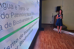 IAT CARAVANA ICMS