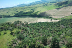  IAT identificou 478 hectares de área de vegetação danificada por fogo em quatro fazendas de Ribeirão Claro, no Norte Pioneiro
