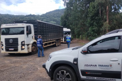 Operação conjunta da Receita Estadual e Adapar apreende R$ 2,6 milhões em mercadorias irregulares