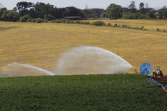 FOMENTO PARANÁ BANCO AGRICULTOR PARANAENSE
