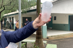  Método Wolbachia: Londrina e Foz do Iguaçu terá ampliação do projeto em 100% do território