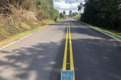 Copel alerta para riscos de acidentes com a rede elétrica na colheita do pinhão