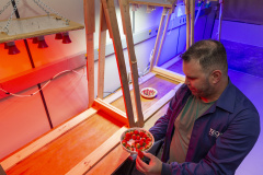 TECPAR - pesquisa propõe soluções sustentáveis para a agricultura e conservação de alimentos