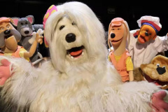 Da telinha para o teatro: musical da TV Colosso chega ao Guairão
