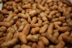 arquivo