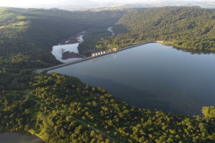 COPEL - Florestas protegidas pela Copel abrigam espécies vulneráveis da flora nativa