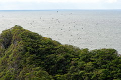 Recuperação de áreas verdes, combate ao desmatamento, cuidados com a água e a fauna e destinação correta dos resíduos sólidos: os indicadores que transformaram o Paraná em referência na proteção ao meio ambiente.
