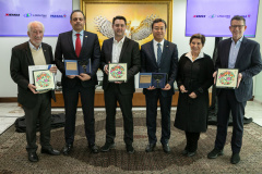 GOVERNADOR XBRI Pneus