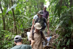 Uma equipe da Secretaria de Estado da Saúde está em Antonina, no Litoral, para investigar o local em que foram encontrados três macacos mortos e uma carcaça mais antiga, diante da possibilidade de que os animais tenham morrido por causa da febre amarela.  -  Foto: Divulgação SESA