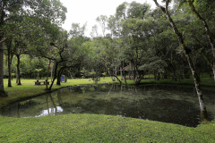 O Instituto Ambiental do Paraná (IAP) informa que as Unidades de Conservação Estaduais do Litoral estarão fechadas para visitação por 15 dias, a partir desta quinta-feira (24). A determinação é uma precaução por conta da ocorrência de casos de febre amarela no estado de São Paulo, próximo à divisa com o Paraná, no Vale do Ribeira, nos municípios de Registro, Iporanga e El Dorado.  -  Curitiba, 24/01/2019  -  Foto: Arquivo ANPr