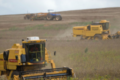 eca e calor reduzem estimativa de produção de grãos de verão. Foto: Jonas Oliveira/Arquivo/ANPr