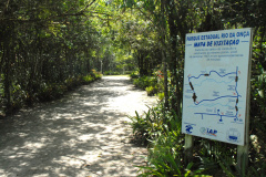 Parque Estadual Rio da Onças,Matinhos, 12-01-2012.Foto: Arnaldo Alves /ANPr