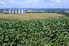 IAP e Crea atuarão juntos na fiscalização ambiental. Foto: Cleverson Beje/Arquivo FAEP