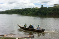 O Instituto Ambiental do Paraná (IAP) proibiu a pesca sob qualquer modalidade, por tempo indeterminado, em todos os rios que compreendem a bacia hidrográfica do Rio Piquiri. A Portaria nº 025, publicada na sexta-feira (22), é uma medida de precaução e prevenção em razão da mortandade de peixes nos últimos dias.  -  Curitiba, 22/02/2019  -  Foto: Divulgação IAP