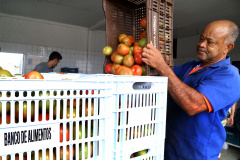 Por meio do Banco de Alimentos da Ceasa, hortigranjeiros são reaproveitados anualmente, evitando o desperdício e garantindo a segurança alimentar de cerca de 194 mil pessoas.Foto: Gilson Abreu/ANPr