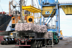 Nos primeiros dois meses de 2019, os Portos do Paraná movimentaram mais de 7,2 milhões de toneladas de carga. Destaque para o aumento de 180% da movimentação por Antonina. Foto: Divulgação/APPA
