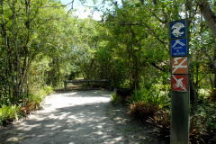 Parque Estadual Rio da Onças,Matinhos, 12-01-2012.Foto: Arnaldo Alves /ANPr