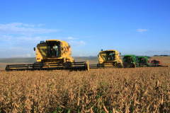 A Secretaria de Estado da Agricultura e Abastecimento enviou documento ao Ministério da Agricultura, Pecuária e Abastecimento que propõe aumento na concessão de crédito para o agronegócio, redução nas taxas de juros para as principais linhas de financiamento do agronegócio brasileiro e o cumprimento integral de todas as deliberações contidas no plano anual