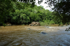 O Instituto Ambiental do Paraná (IAP), por meio da portaria nº 52/2019, libera a pesca comercial e amadora no Rio Piquiri a partir de amanhã (30). A pesca estava proibida desde o dia 20 de fevereiro como medida de precaução e prevenção em razão da mortandade de peixes. -  Curitiba, 29/03/2019  -  Foto: Dênis Ferreira Netto/Desenvolvimento Sustentável