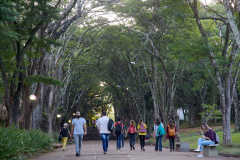 A Pró-Reitoria de Graduação (Prograd) abriu segunda-feira (6) o prazo para agendamento de escolas (Ensino Médio), de Londrina e região, participarem da 8ª Feira das Profissões: Conhecendo a UEL - edição 2019. O evento será no dia 25 de junho, das 8h30 ao meio-dia e das 14 às 21 horas, em toda extensão do Câmpus Universitário. Londrina,26/04/2019 Foto:Jaelson Lucas / ANPr