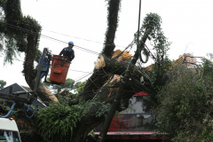 Vendavais e granizo afetam mais de sete mil pessoas no Paraná. Foto: Geraldo Bubniak/ANPr