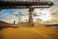 Movimentação Porto de Paranaguá  -  Paranaguá, 10/06/2019  -  Foto: Cláudio Neves/APPA