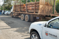 Fiscais do Instituto Ambiental do Paraná (IAP), regional de União da Vitória, identificaram nessa quinta-feira (13), no município de Paulo Frontin, uma área de corte de vegetação nativa ilegal, equivalente a 1,43 hectares de desmate.   União da Vitória, 13/06/2019  -  Foto: Divulgaação IAP