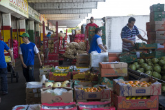 A Ceasa Paraná promove a partir do dia 9 mais uma etapa no processo de licitações de áreas no mercado atacadista de hortigranjeiros e atípicos em geral em suas unidades. Serão ofertadas 52 áreas, distribuídas em 36 lotes para o sistema de pregão presencial tipo maior lance ou oferta, para a Ceasa de Curitiba.Foto: Divulgação Ceasa Paraná