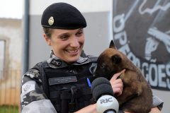 A soldado Angélica Aparecida Chuede é a primeira mulher a fazer parte da Companhia de Operações com Cães (COC) do Batalhão de Operações Especiais (BOPE), em 47 anos de criação da subunidade. A inclusão da militar estadual aconteceu com a formatura dela no Curso de Cinotecnia na última semana, que fez todas as etapas com seu cão Hunter.  -  Curitiba, 04/07/2019  =-  Foto: Soldado Amanda Morais