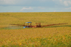 Os produtores rurais do Paraná que adotaram a tecnologia do Manejo Integrado de Pragas (MIP) reduziram em 50% as aplicações de inseticidas nas últimas seis safras. Além de contribuir com a preservação do meio ambiente e racionalizar o uso de agrotóxicos na cultura da soja, a técnica reduz o custo da produção e a intoxicação de agricultores, que são qualificados para a aplicação. Foto: Jonas Oliveira/Arquivo/ANPr