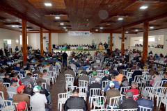 O desafio da cadeia da erva-mate no Paraná é agregar valor ao produto e conquistar mais consumidores nos mercados interno e externo