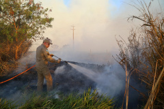 O Corpo de Bombeiros do Paraná reforçou o trabalho preventivo e de comunicação que desenvolve em todas as suas sedes regionais sobre os cuidados para evitar incêndios. O inverno é o período do ano que costuma registrar aumento no número de queimadas nas vegetações em função do clima seco, falta de chuvas e ventos fortes.