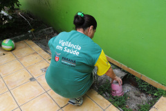 O informe técnico sobre a situação da dengue, febre amarela, zika e chikungunya emitido pela Secretaria de Estado da Saúde na terça-feira (3) monstra que grande parte dos focos do mosquito Aedes aegypti são encontrados nas residências. A Secretara de Estado da Saúde orienta que pequenos cuidados podem romper o ciclo de vida do Aedes aegypti e sua reprodução. Foto: Arquivo?AEN