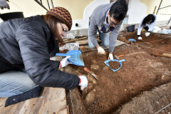 A equipe do Departamento de Arqueologia do Museu Paranaense vem desenvolvendo pesquisas arqueológicas no entorno do Palácio Belvedere, prédio histórico localizado na Praça João Cândido, Alto São Francisco, em Curitiba, e que está sendo revitalizado pela prefeitura da capital. Desde o início das escavações, em agosto, já foram encontrados fragmentos de ossos, de cerâmica, e até mesmo ossadas inteiras, muito bem preservadas. Foto:Kraw Penas/SECC