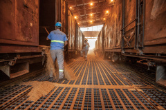 Até o final deste ano, o Porto de Paranaguá deve receber para descarga mais de 6,12 milhões de toneladas de granéis para exportação. O volume esperado para o último trimestre de 2019 é 14% maior que o total movimentado pelo setor no mesmo período do ano passado. Nos três últimos meses de 2018 foram exportadas cerca de 5,26 milhões de toneladas de soja, milho, farelo e açúcar. Foto: Claudio Neves/Portos do Paraná